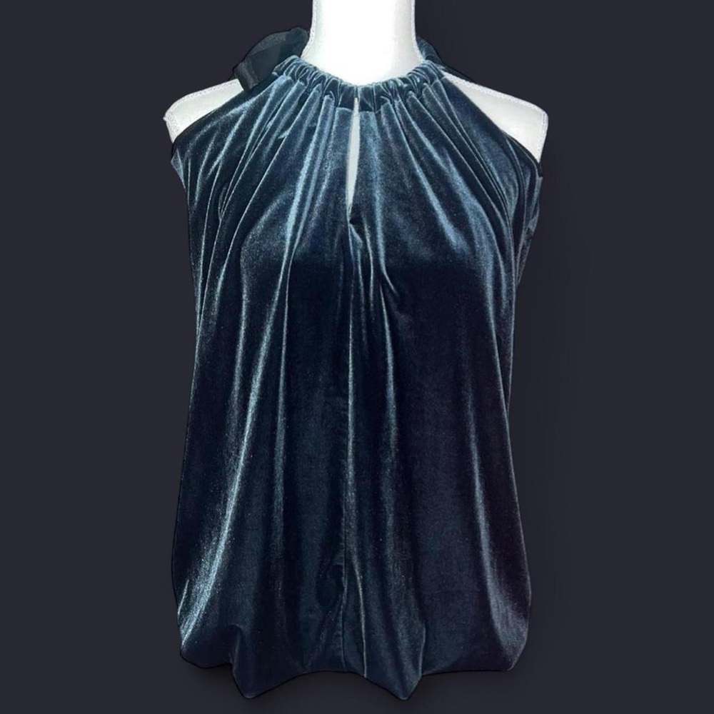 Forever 21 Black and Blue Velvet top